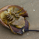 Foto: Shutterstock